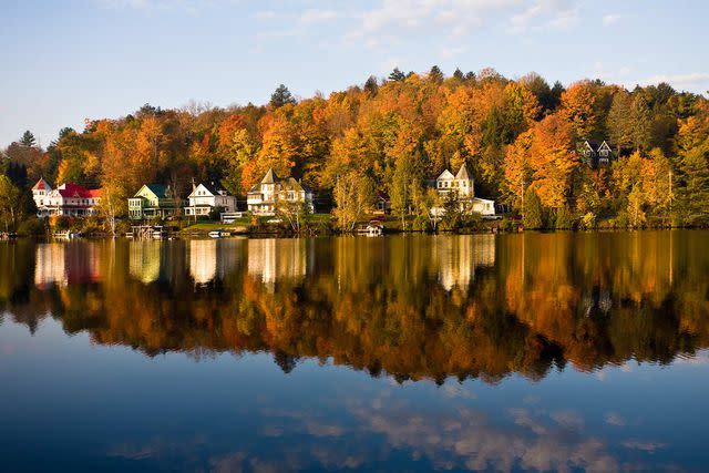 <p>capecodphoto/Getty Images</p>