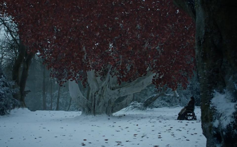 Bran’s going to bait the Night King. Photo: HBO