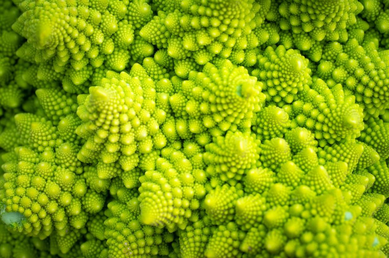 <span class="caption">El romanesco (_Brassica oleracea_), una variedad verde de coliflor que presenta geometría fractal en su estructura.</span> <span class="attribution"><a class="link " href="https://www.shutterstock.com/es/image-photo/green-vegetable-background-romanesco-cabbage-close-1811342413" rel="nofollow noopener" target="_blank" data-ylk="slk:Shutterstock / FOTOGRIN;elm:context_link;itc:0;sec:content-canvas">Shutterstock / FOTOGRIN</a></span>