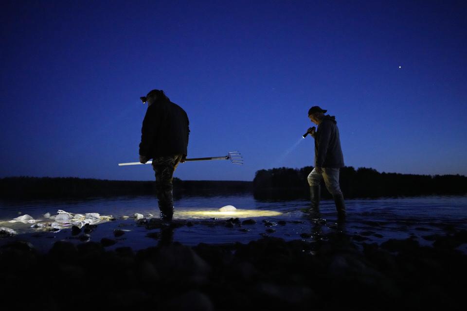 Mark Ojibway, left, and John Baker wade in shallow water while looking for fish at the Chippewa Flowage on the Lac Courte Oreilles Reservation, Sunday, April 14, 2024, near Hayward, Wis. (AP Photo/John Locher)