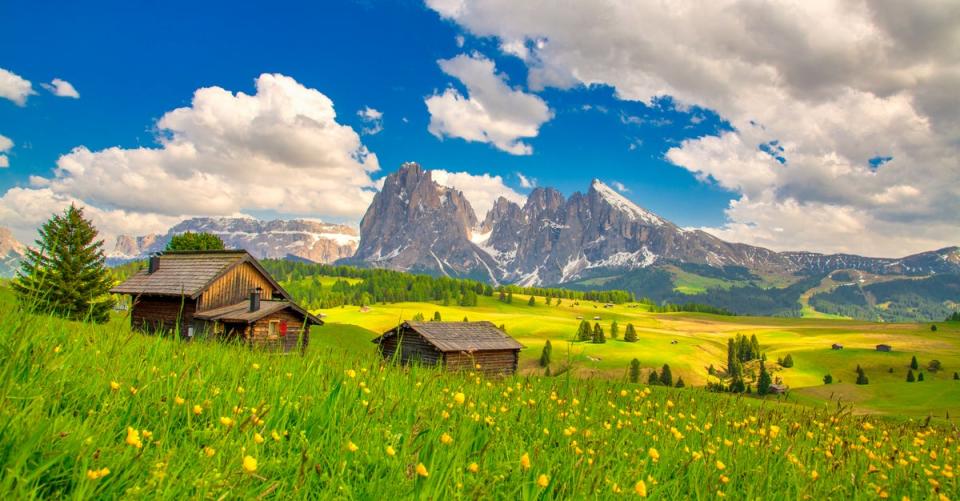 Tourism restrictions are being brought in to protect the wildflowers on the Alpe di Siusi (Getty Images/iStockphoto)