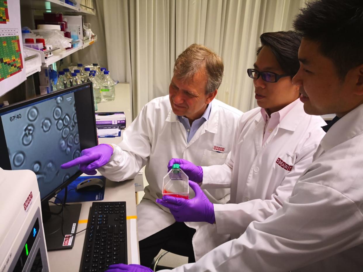 From left to right: NTU<span> Prof Peter Preiser, Dr Ye Weijian and PhD student Marvin Chew at the SMART infectious diseases lab where the malaria research was conducted on 8 October, 2018. (</span>PHOTO: <span>Nanyang Technological University</span>)