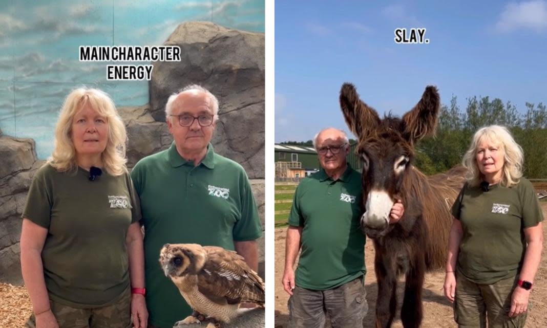 <span>‘Neither of them knew what they were saying,’ says Maxine Bradley of her parents, Linda and Brian Bradley, appearing in a social media video for Northumberland zoo.</span><span>Photograph: TikTok</span>