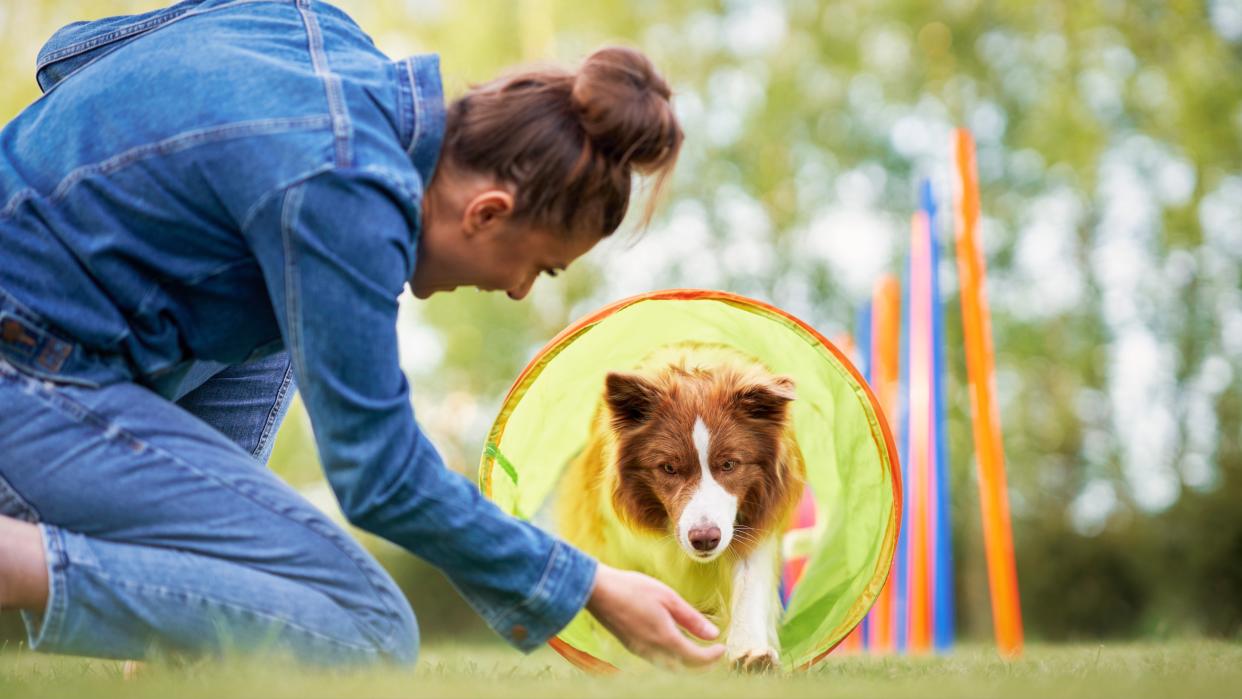  Woman training dog. 