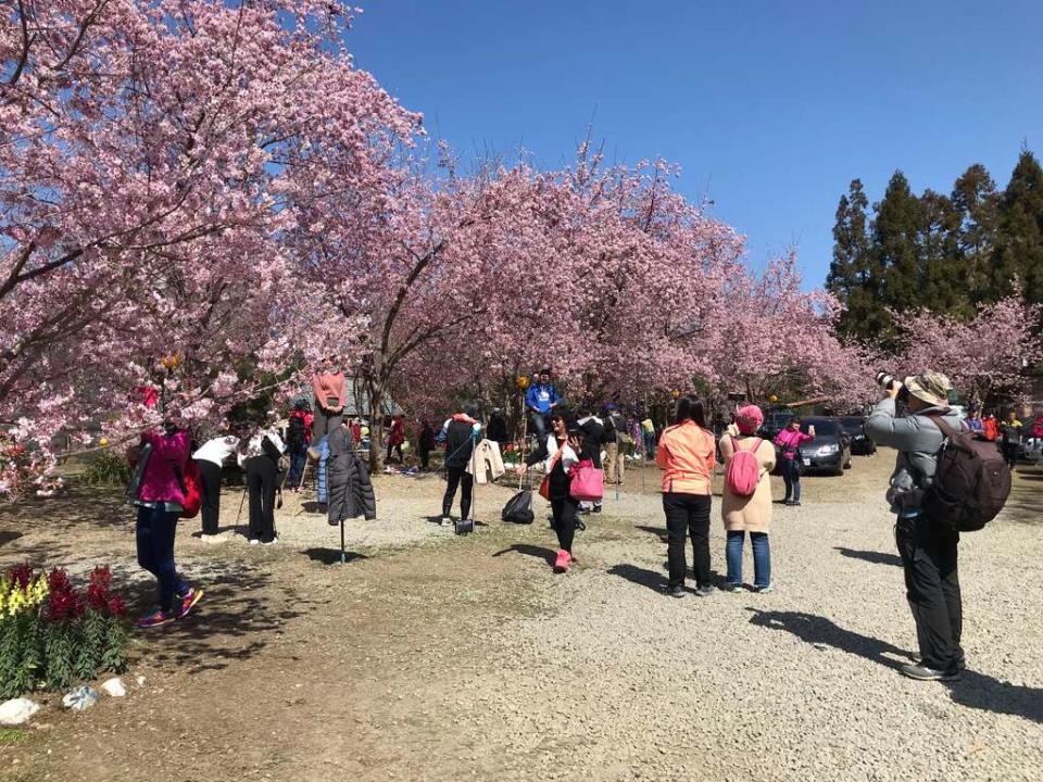 （圖片來源：桃園觀光導覽網）