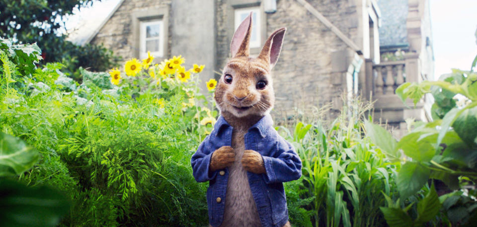 Peter Rabbit