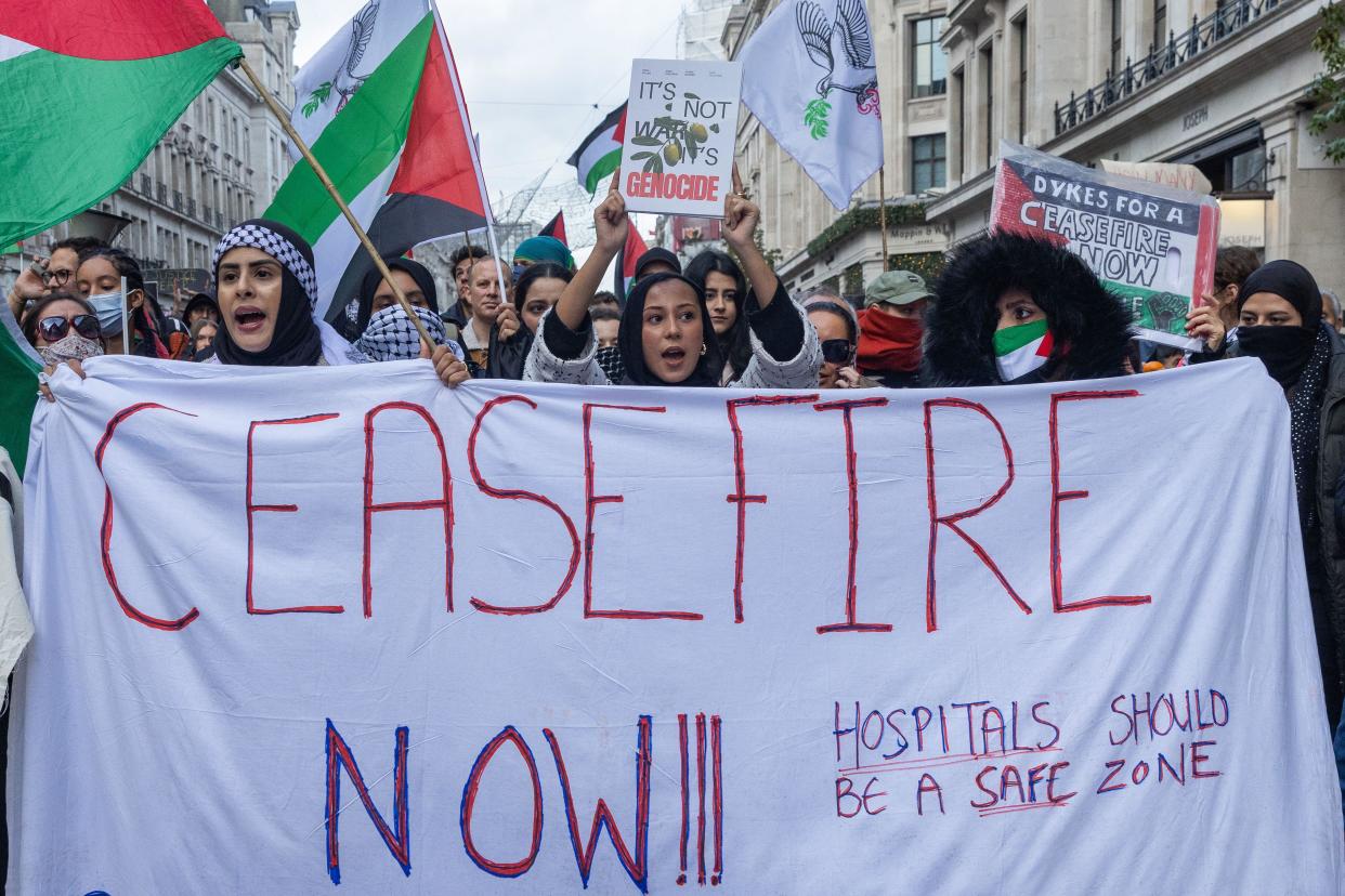 The human rights organisation, Liberty, says people attending the Pro-Palestine march on Armistice Day this Saturday, have the legal right to assemble. (Credit: Alamy)