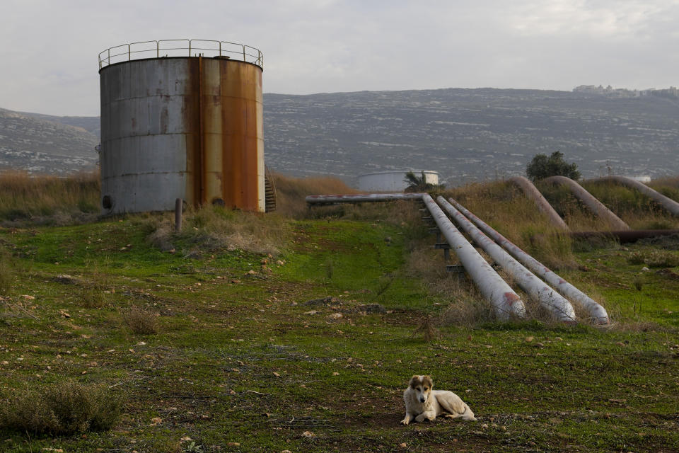 A dog sits in front of a storage tank inside the Biddawi oil facility in the northern city of Tripoli, Lebanon, Tuesday, Dec. 28, 2021. Lebanese Energy Minister Walid Fayad launched two projects in the country’s north on Tuesday to facilitate the flow of natural gas from Egypt. The move aims to improve electricity production and expand the country’s tanks to increase oil reserves. (AP Photo/Hassan Ammar)