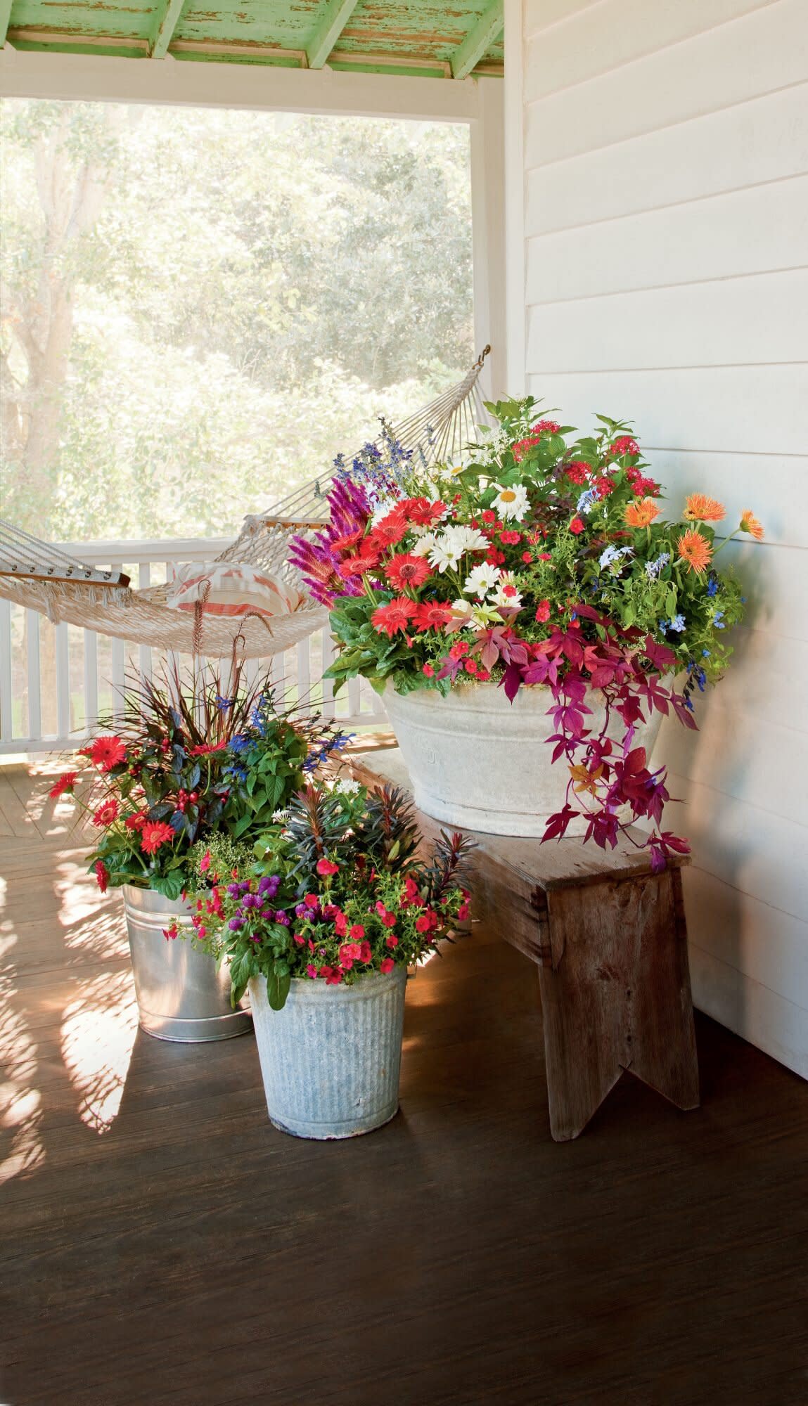 Container Garden in Buckets