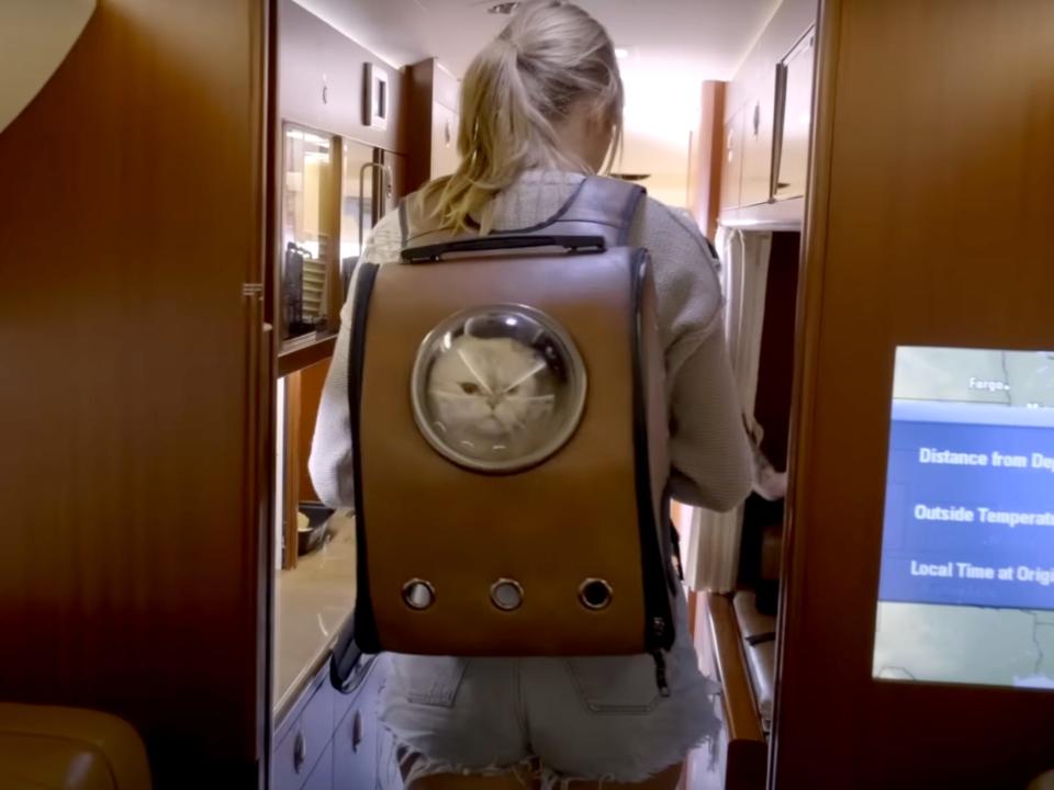 Taylor Swift and her cat in a back pack in "Miss Americana."