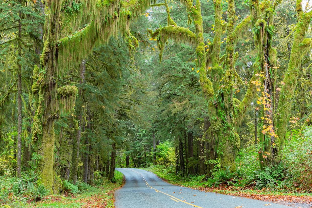 Olympic Peninsula Loop, Washington