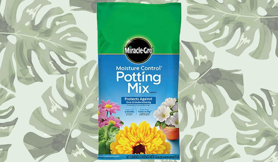 Miracle-Gro Moisture-Control Potting Mix (Photo: Amazon)