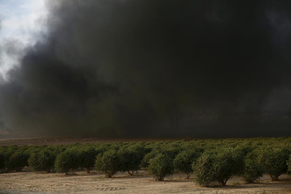 An orchard is covered by black smoke from the tires set on fire by Palestinian protesters on the Israel and Gaza border, Friday, Oct. 5, 2018. (AP Photo/Ariel Schalit)