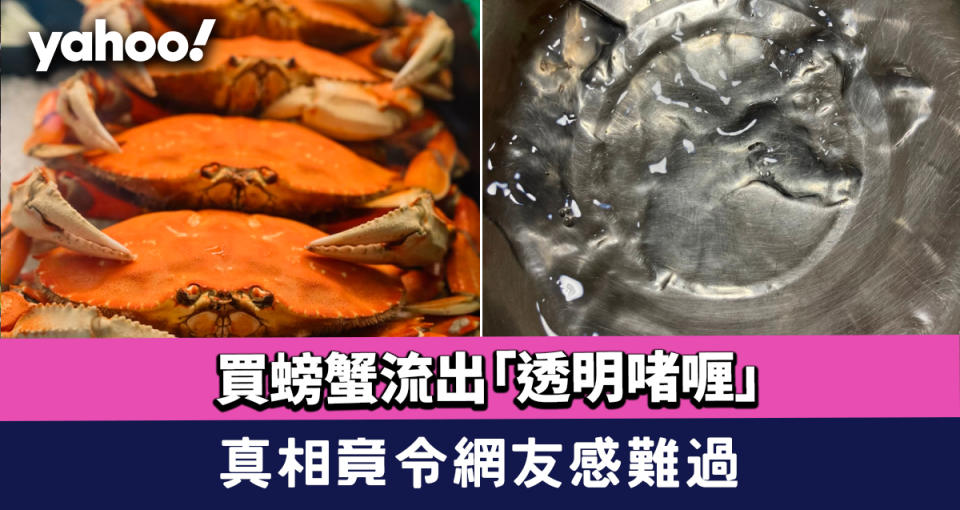 食物安全｜內地媽媽買螃蟹 清洗時竟流出「透明啫喱」 真相竟令網友感難過