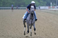 Essential Quality trains the day before the 153rd running of the Belmont Stakes horse race in Elmont, N.Y., Friday, June 4, 2021. (AP Photo/Seth Wenig)