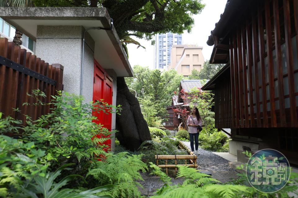 「蒔光巷」裡蒐藏台灣家庭常見的食用性植物。