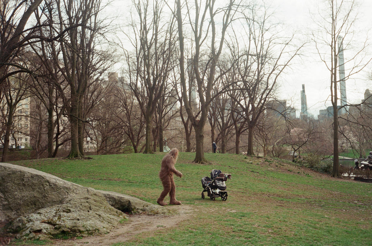 Nathan Zellner, codirector de la película “Sasquatch Sunset”, disfrazado de sasquatch, se esconde detrás de un árbol en Central Park, Nueva York, el 4 de abril de 2024. (Brian Karlsson/The New York Times)
