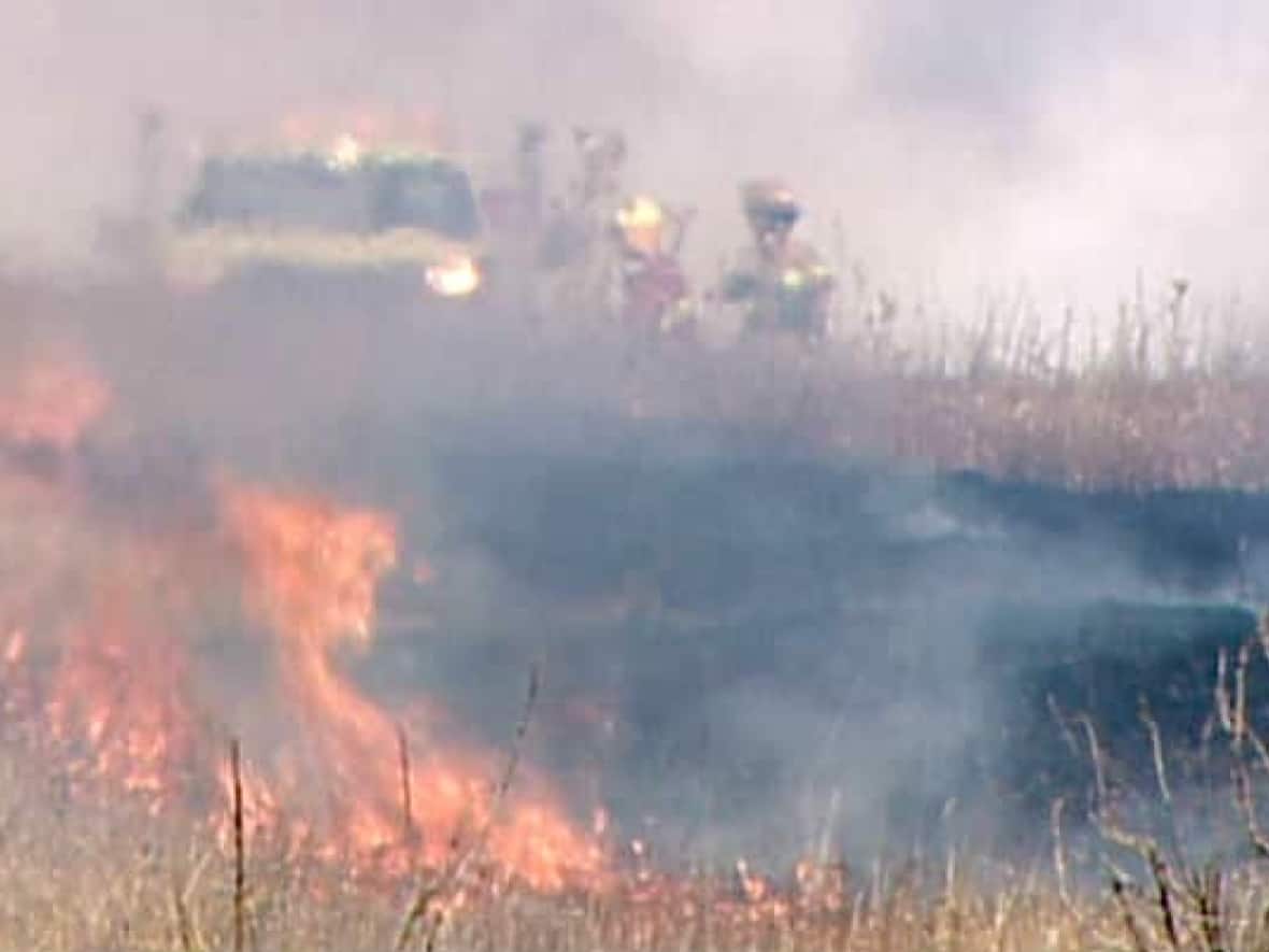 The risk of grass fires increases in extremely hot weather. ( - image credit)