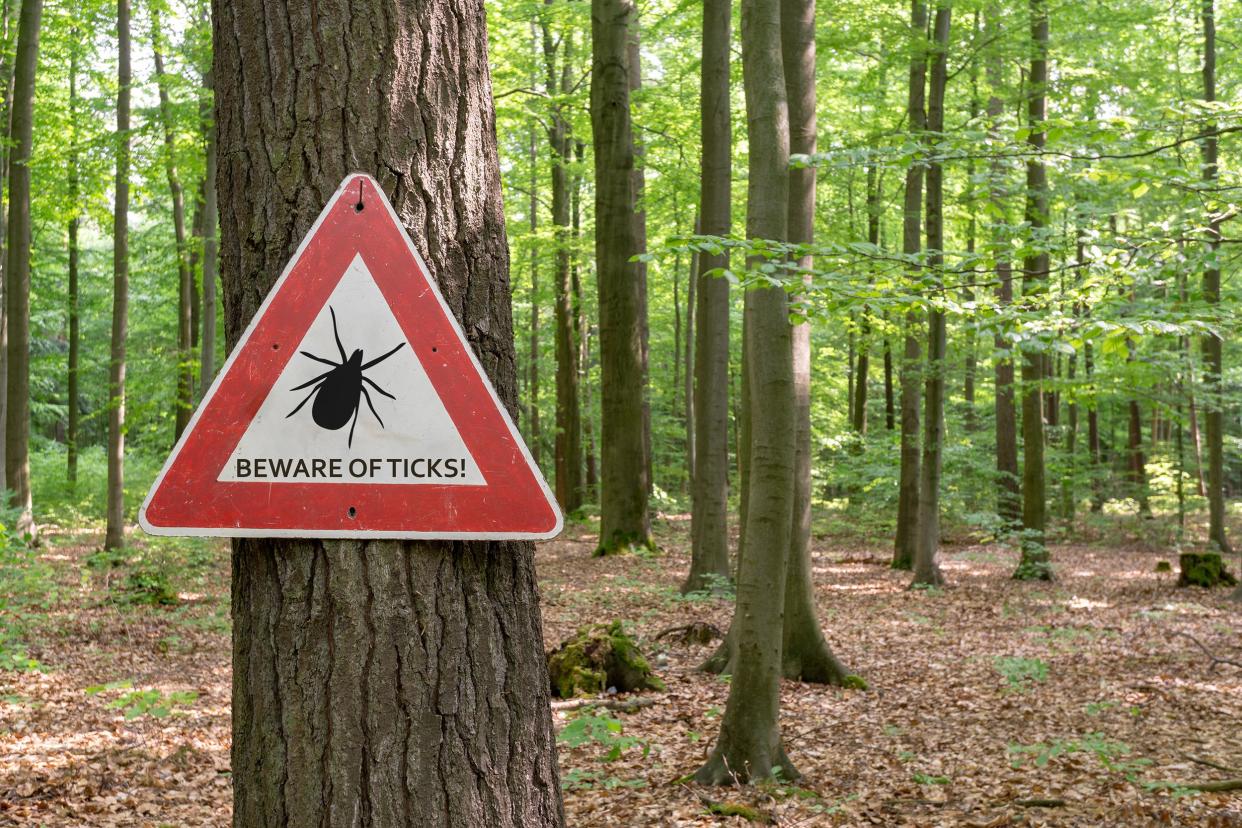 'Beware of Ticks!' sign on tree in the woods