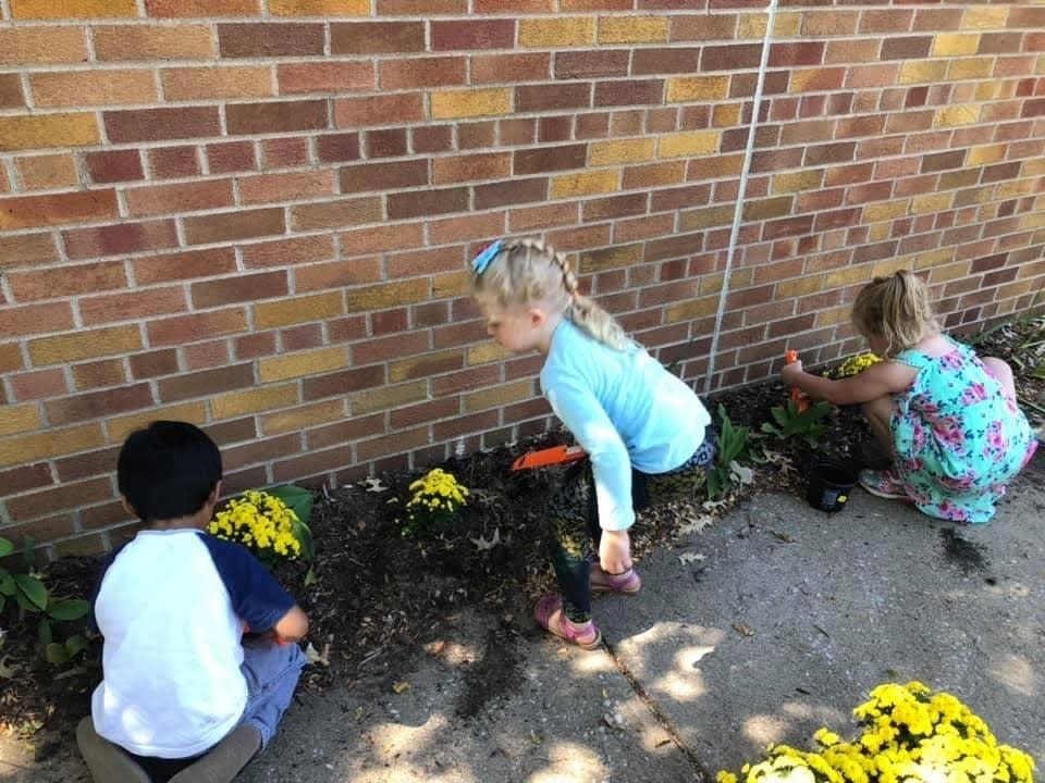 Three Coralville Central Grade School students plant mums. They are handling the trowels very well.