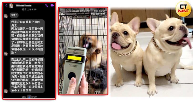 曾在楊姓業者犬貓旅舍上班的員工爆料，指證該公司疑似曾發生虐待及棄置動物情事。（圖／民眾提供）