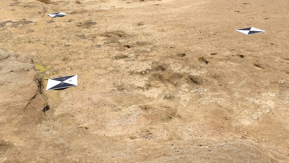  Ancient human footprints pressed into a sandy beach. . 