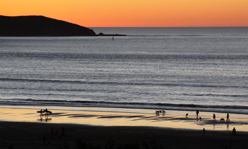 Surfers and dog walkers at the beach in California.