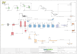 Twin Hills Gold Project Process Plant Flow Diagram