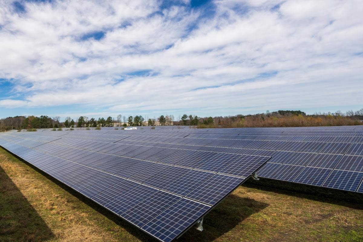 Stock picture of solar panels. Credit: Mark Stebnicki via Pexels