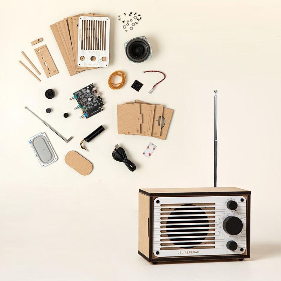 Build Your Own Bluetooth and FM Radio