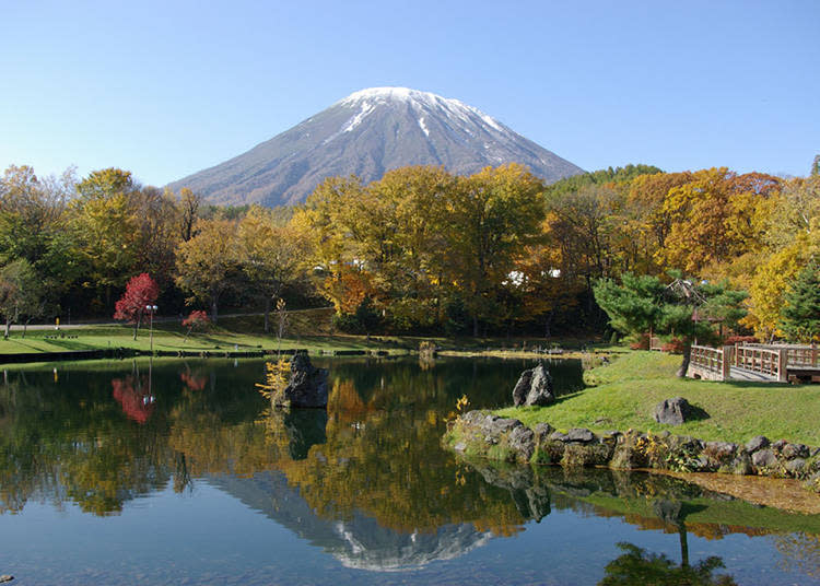 另外在公園內還有國道休息站「名水之鄉京極（名水の郷きょうごく）」，在休息站主要設施「名水PLAZA」裡面除了有供應使用當地湧泉水來泡製的「名水咖啡」，還有其他餐廳、商店，無論想吃飯或購物都沒問題。