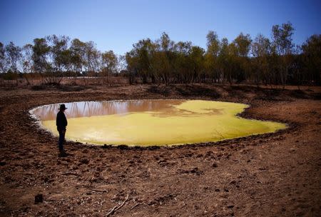Farmer Tony Jackson inspects a dam containing stagnant water on his property located near Deadman's Creek on the outskirts of the outback town of Stonehenge, in Queensland, Australia, August 13, 2017. REUTERS/David Gray