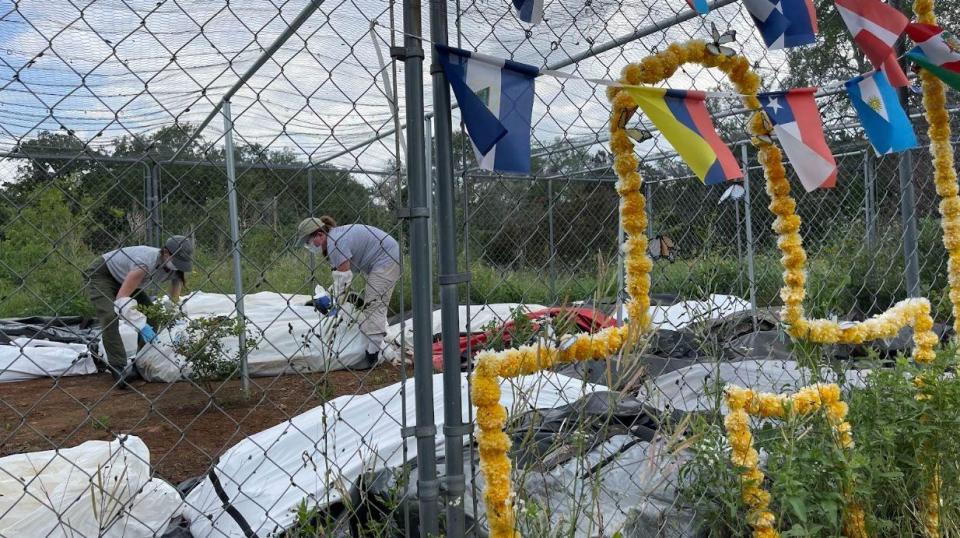 Decoración del Día de Muertos en la zona de descomposición de Operation Identification en Freeman Ranch, San Marcos, Texas, el 24 de abril de 2024.