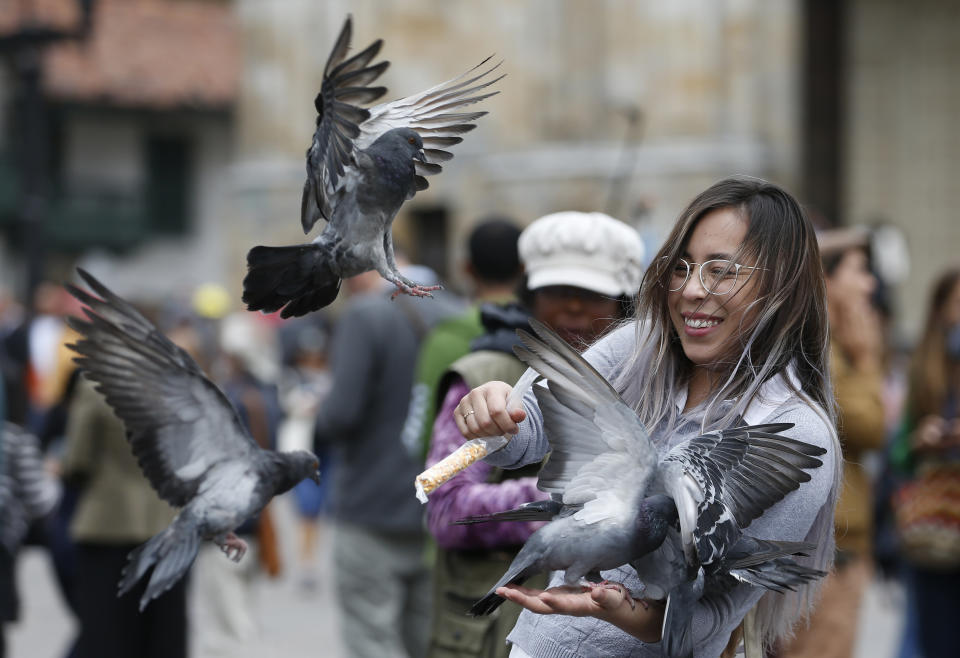 A woman feeds pigeons at Bolivar Square in Bogota, Colombia, Tuesday, Oct. 2, 2018. Feeding pigeons corn and taking a photo with them in Bolivar Square has been something of a local tradition for decades. (AP Photo/Fernando Vergara)