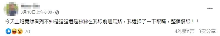 有網友10日就看到狒狒脫逃，不過當時沒有人相信他。（圖／翻攝自當事人臉書）