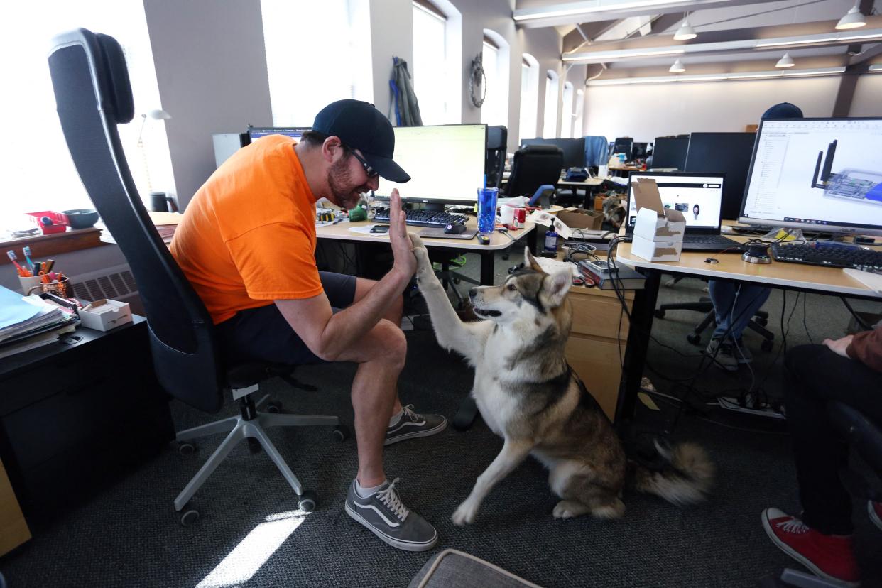 Bill Dicke, president of Tungsten Collaborative gives a high five to his dog Nature May 5, 2022 in Ottawa, Canada. - According to a recent Leger survey for PetSafe, 51 percent of Canadians support bringing dogs to the office.
Younger workers were the most supportive, with 18 percent of those aged 18 to 24 years saying they would change jobs if their employer refused to allow them to bring their pet to work.
With an estimated 200,000 Canadians adopting a dog or cat since the start of the pandemic in 2020, bringing the nationwide total to 3.25 million, it could force employers now pressing staff to return to the office to consider this option. (Photo by Dave Chan / AFP) (Photo by DAVE CHAN/AFP via Getty Images)