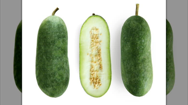 cross section of winter melon