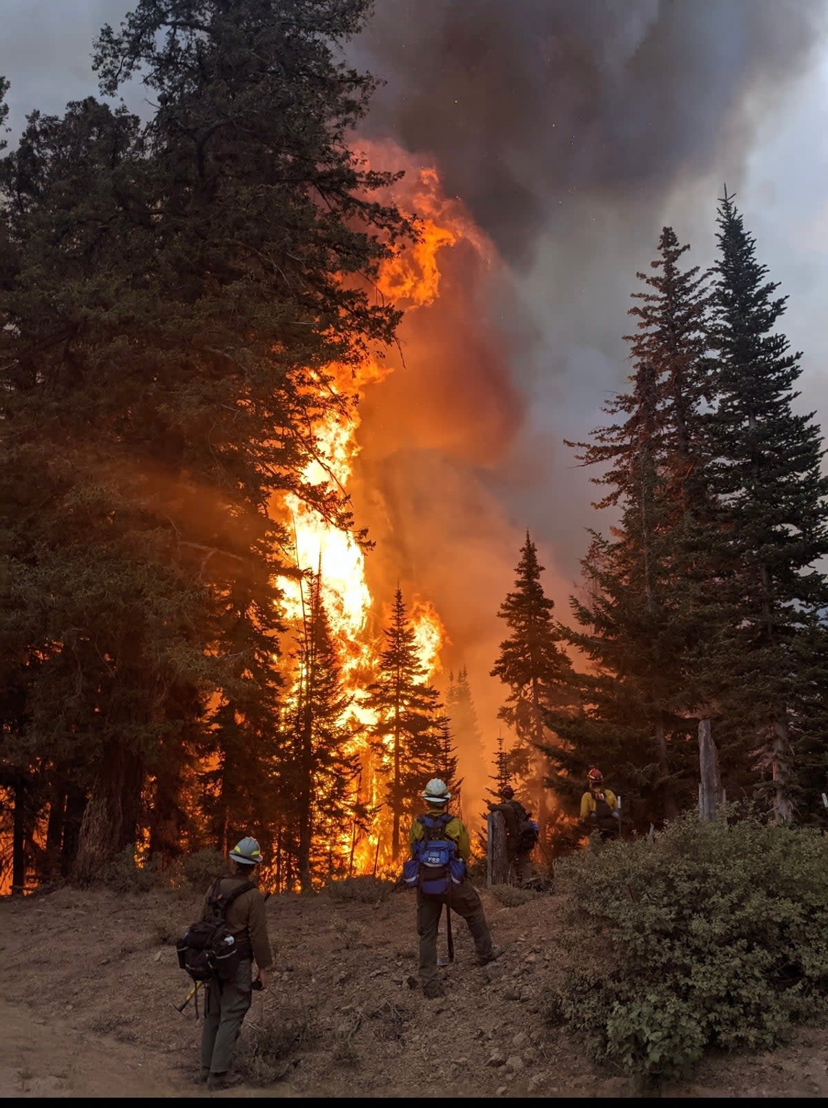 A wildland firefighting crew assess a fire in Washington state in 2021 (Courtesy of Ben McLane)