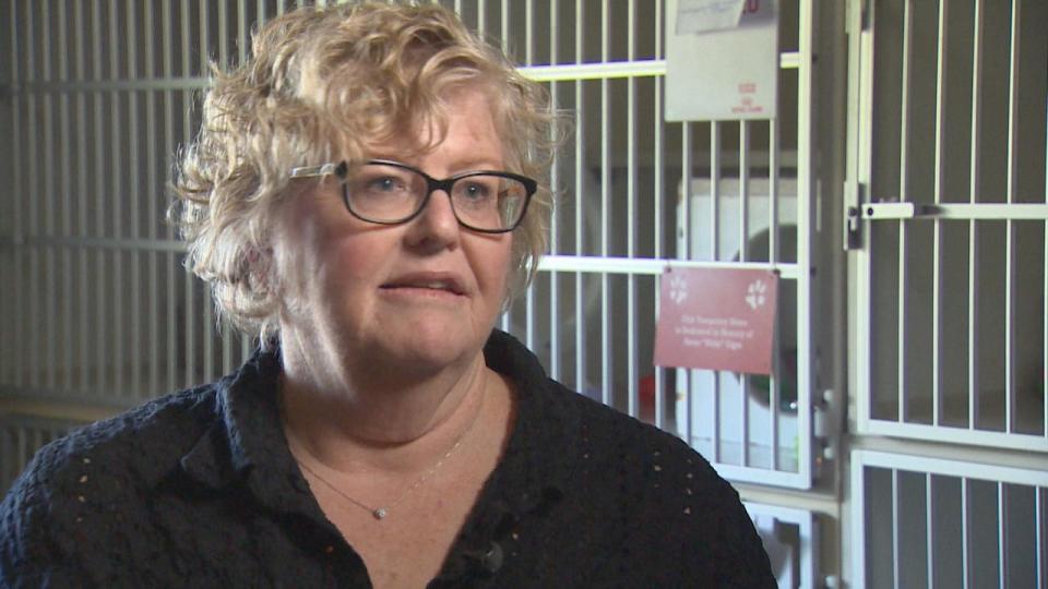 Executive director Lesley Rogers hopes to avoid situations where owners must surrender an animal because they can't afford necessary veterinary care.
