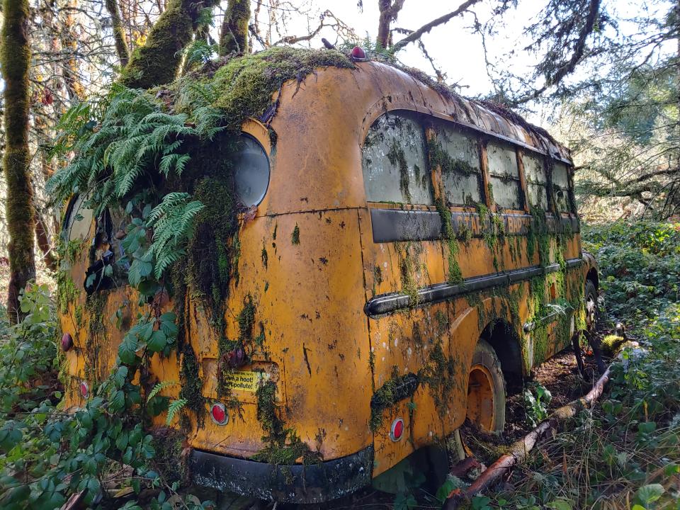 The bus was covered in moss and leaves and was home to rats (Collect/PA Real Life)