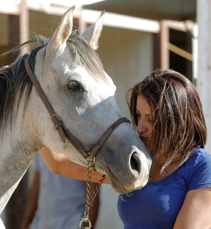 Druze horsewoman and trainer Raja Kheir awakes at dawn every day to feed the 15 horses at her school in the Golan (AFP Photo/Jalaa Marey)