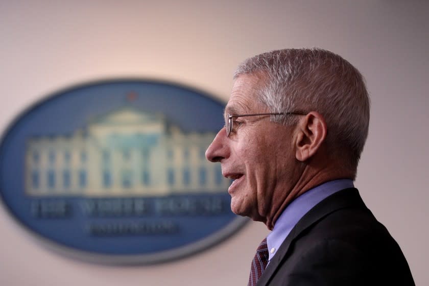 Dr. Anthony Fauci, director of the National Institute of Allergy and Infectious Diseases