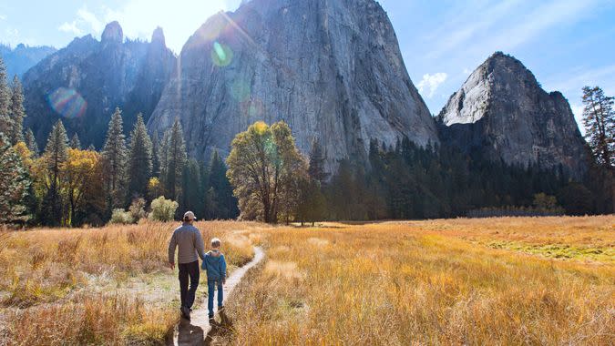 back view of active family of two, father and son, enjoying valley and mountain view in yosemite national park, california, active family vacation concept.