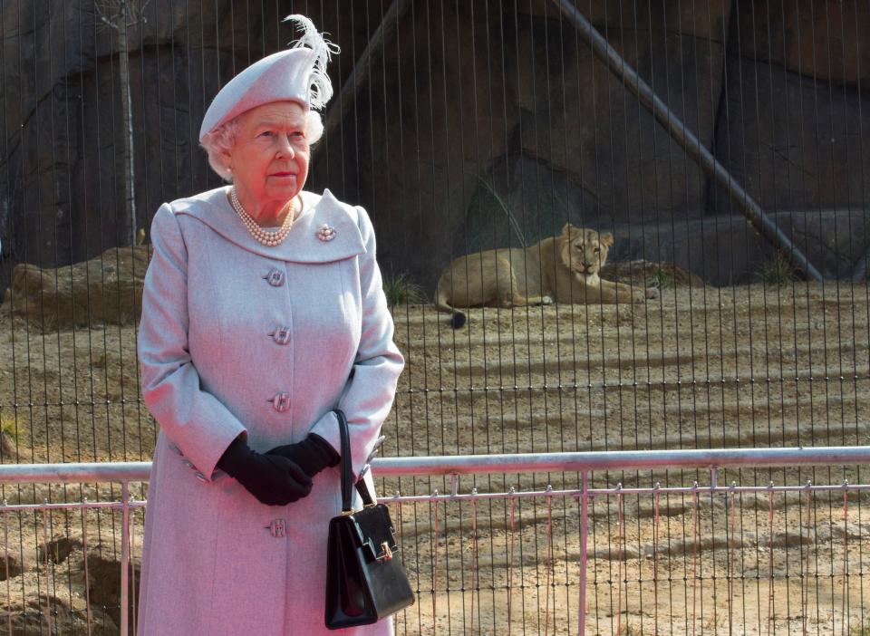 Queen Elizabeth at the zoo