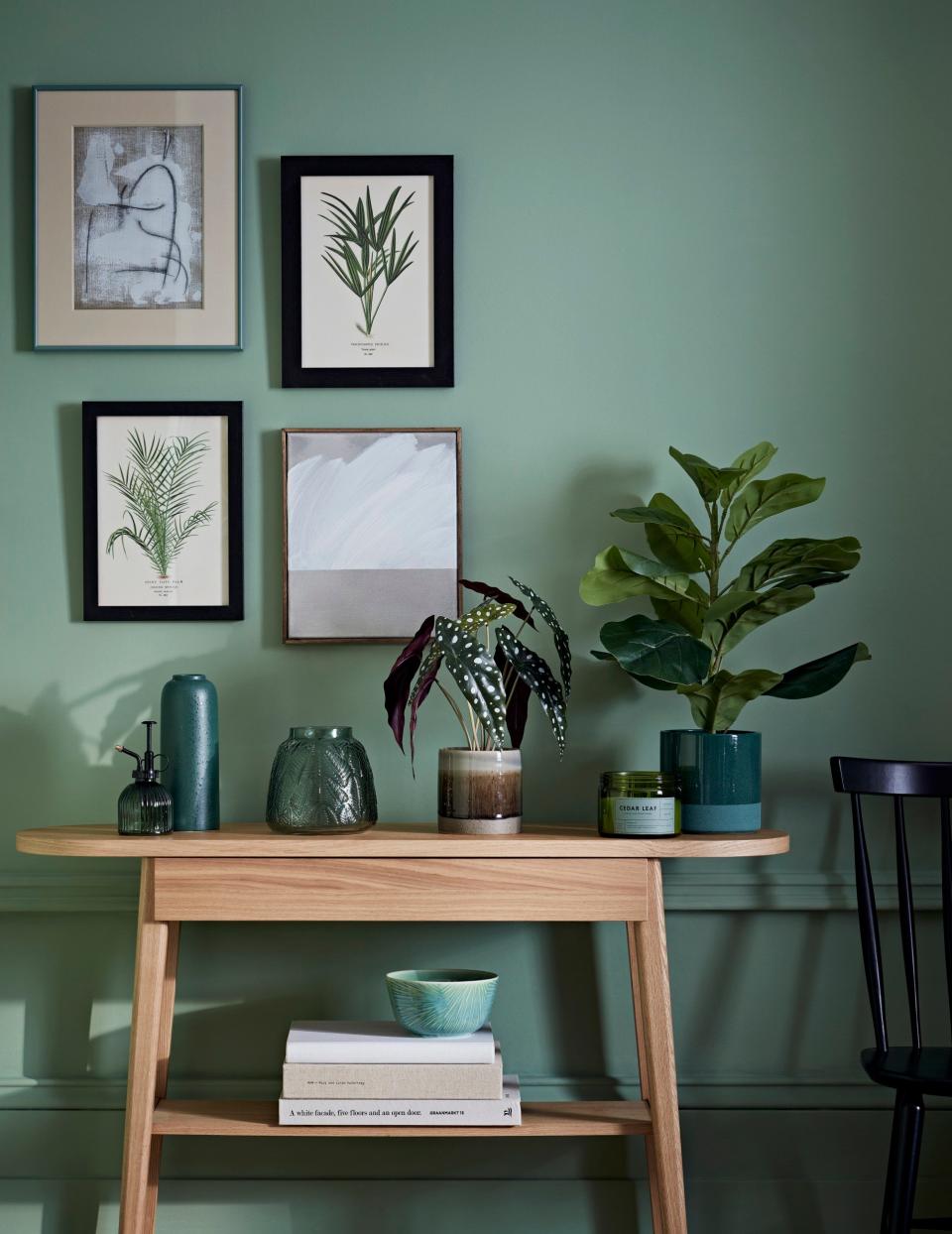 Calming colours and prints of plants - Jon Day Photography