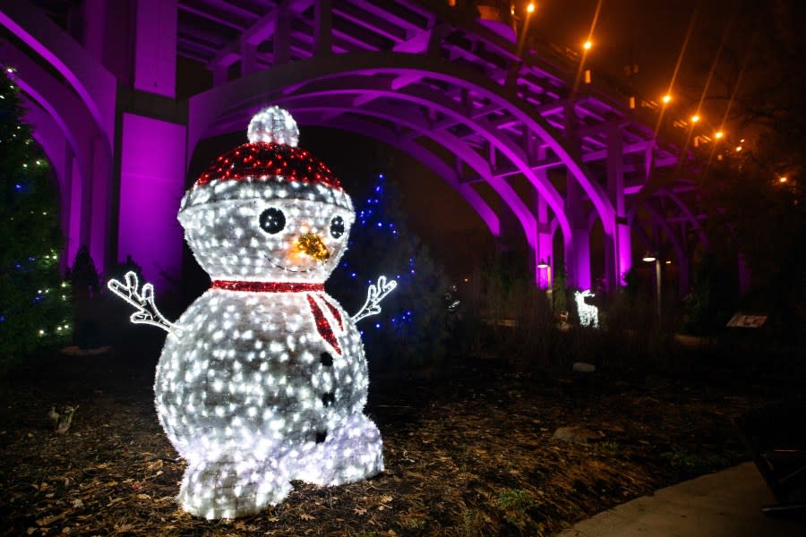 Wild Winter Lights at the Cleveland Metroparks Zoo on November 19, 2019 during the “Walk Through” (Kyle Lanzer/Cleveland Metroparks)