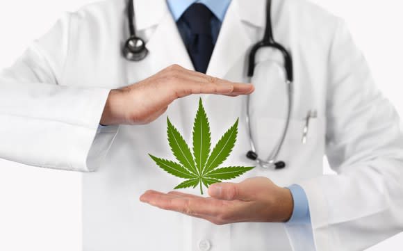A physician with a stethoscope around his neck holding a cannabis leaf between his hands.