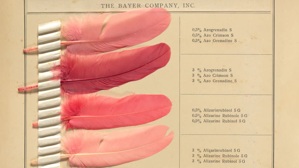 Discolorations On Feathers, a sample book by the Bayer Company showing different shades of pink. - Science History Institute/Courtesy Atelier Editions