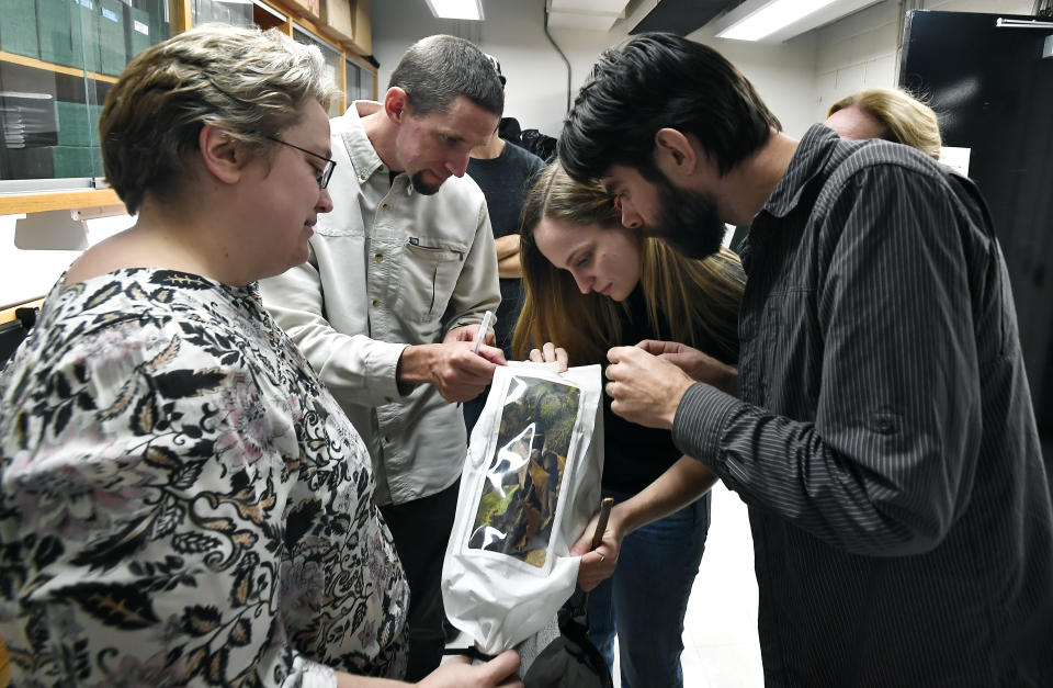 Dr. Allison Oakes, left, Andy Newhouse, Hannah Pilkey and Vernon Coffey inspect a bag holding one of the harvested chestnuts before opening it in a lab at the State University of New York's College of Environmental Science & Forestry in Syracuse, N.Y., Monday, Sept. 30, 2019. The ESF American Chestnut Research & Restoration Project researchers have been able to add a gene to American chestnuts that give the trees resistance to a blight that decimated the trees in the 20th century. (AP Photo/Adrian Kraus)