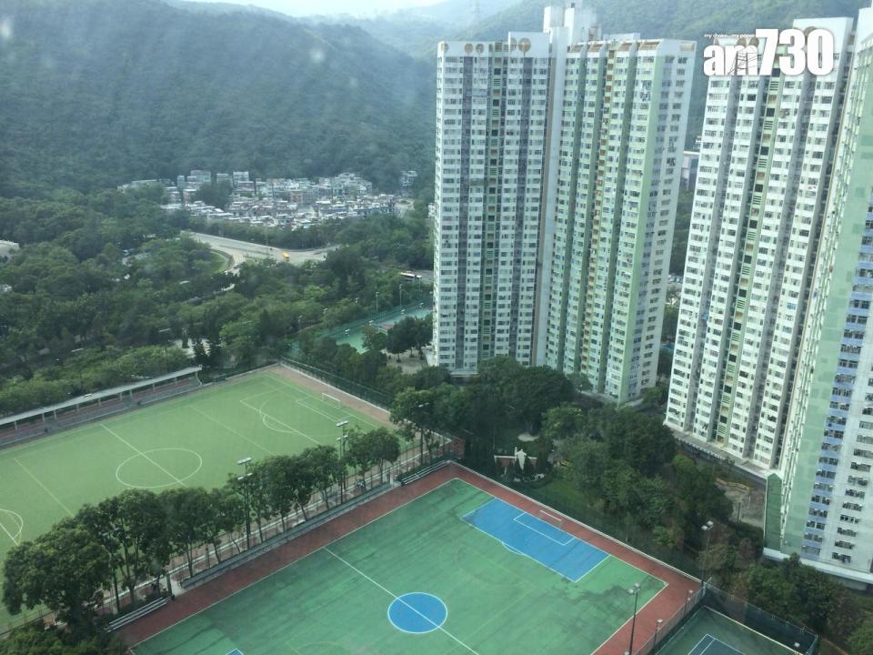 單位望將軍澳寶翠公園，翠綠球場及園林景致，視野非常開揚。(代理提供)